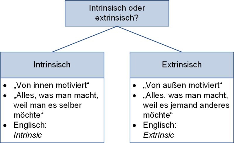 Unterschiede intrinisch und extrinsisch, (C) Peterjohann Consulting, 2021-2024