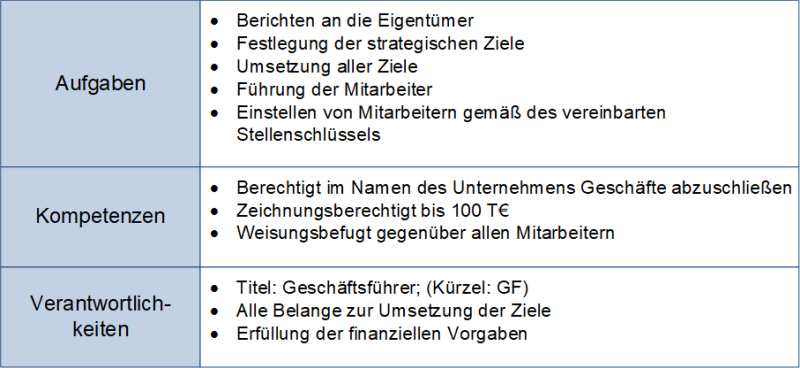 Rollenbeschreibung eines Geschäftsführers, (C) Peterjohann Consulting, 2021-2023