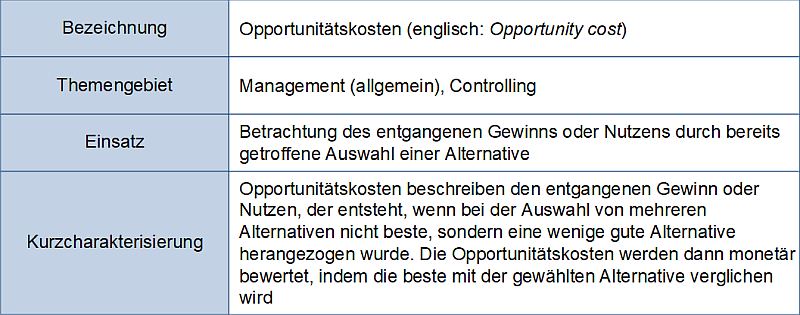 Die Opportunitätskosten - Charakterisierung, (C) Peterjohann Consulting, 2025-2026 Die Opportunitätskosten - Charakterisierung, (C) Peterjohann Consulting, 2025-2026