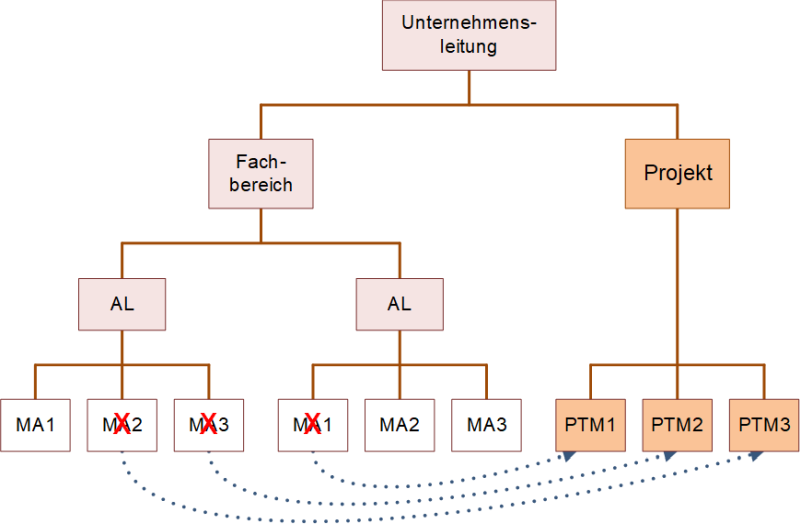 Reine Projektorganisation, (C) Peterjohann Consulting, 2018-2024