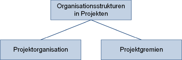 Organisationsstrukturen in Projekten - Unterteilung, (C) Peterjohann Consulting, 2018-2024