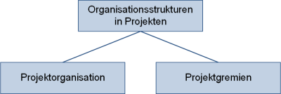 Organisationsstrukturen in Projekten - Unterteilung, (C) Peterjohann Consulting, 2018-2021 Organisationsstrukturen in Projekten - Unterteilung, (C) Peterjohann Consulting, 2018-2021