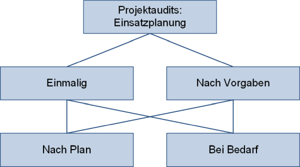 Projektaudits: Einsatzplanung, (C) Peterjohann Consulting, 2021-2024
