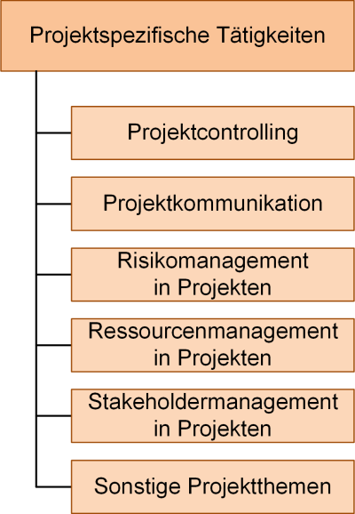 Die projektspezifischen Tätigkeiten im Projektstrukturplan, (C) Peterjohann Consulting, 2023-2025
