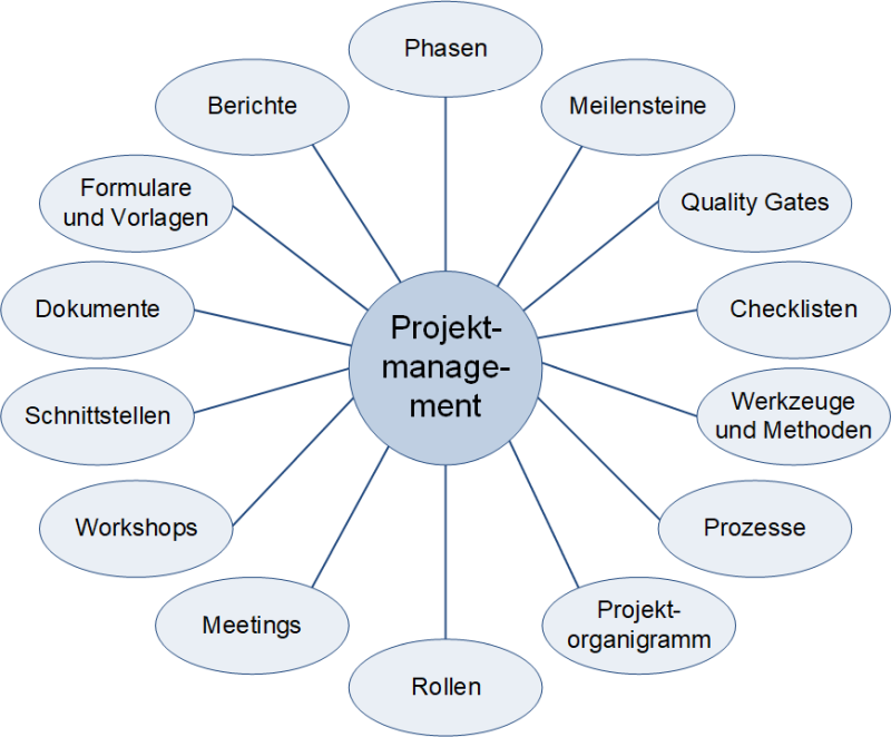 Die Elemente eines Projektmanagementsystems, (C) Peterjohann Consulting, 2016-2024